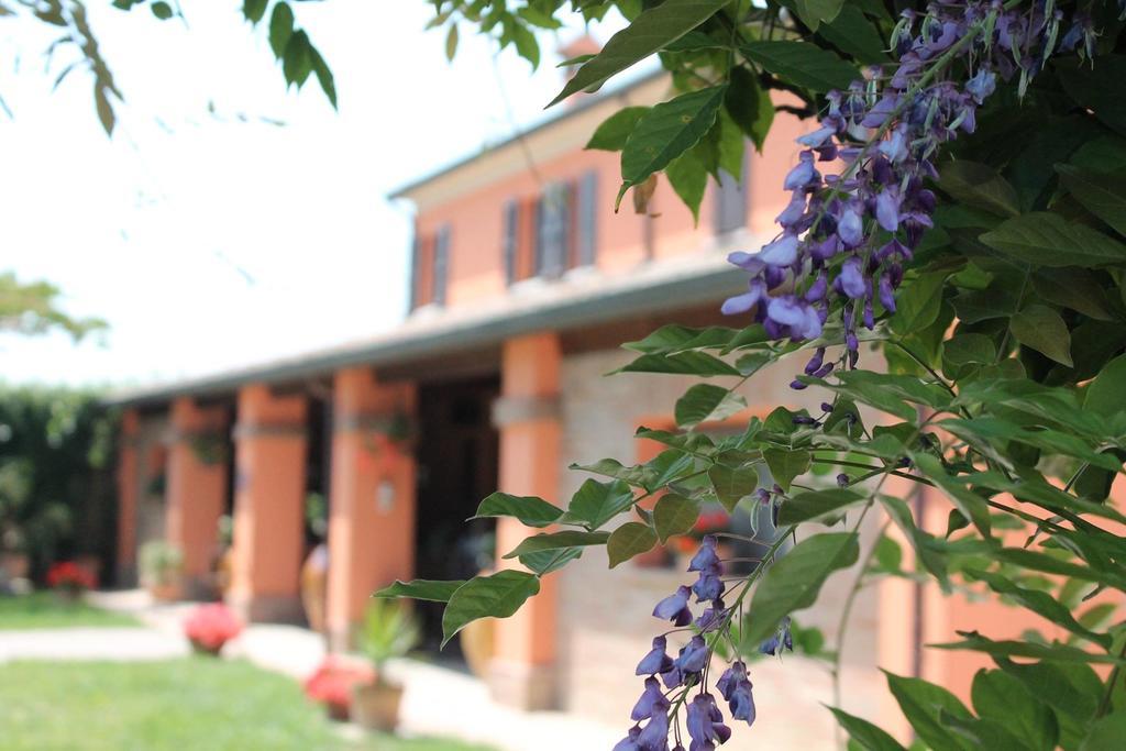 Farm stay Maloura Savignano sul Rubicone